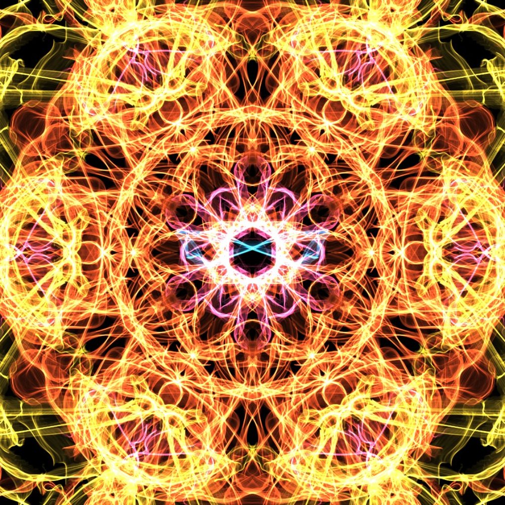 Meet your Posher, Kat